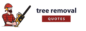 Arlington Pro Tree Removal Service