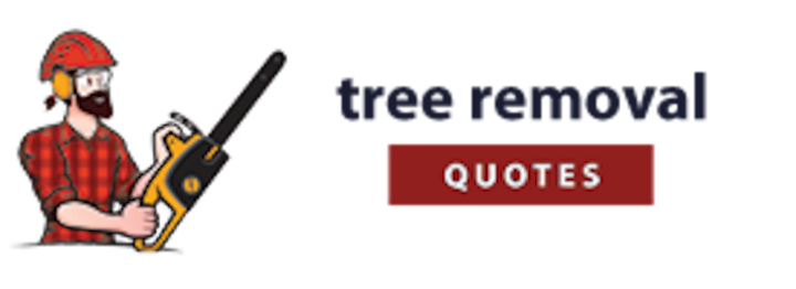 Arlington Pro Tree Removal Service